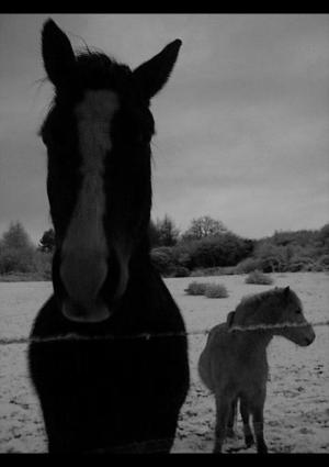 <img300*0:http://elftown.heddate.com/img/photo/60085_1109967432.jpg>