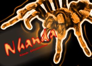 <img300*0:http://elftown.heddate.com/img/photo/60704_1122994029.jpg>