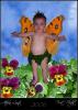 <img0*100:img/photo/61513_1154026184.jpg>