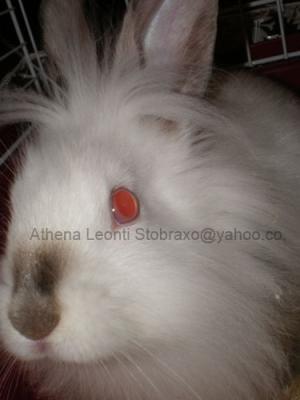 <img300*0:http://elftown.heddate.com/img/photo/61513_1191941587.jpg>