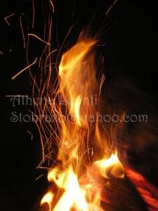 <img0*300:img/photo/61513_1192641599.jpg>