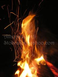 <img200*0:img/photo/61513_1192641599.jpg>