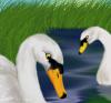 <img100*0:http://elftown.heddate.com/img/photo/61691_1119094242.jpg>