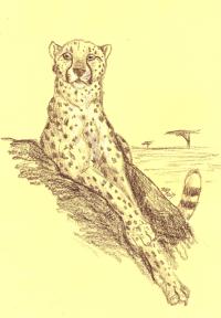 <img200*0:http://elftown.heddate.com/img/photo/61691_1131280224.jpg>