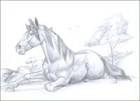<img200*0:http://elftown.heddate.com/img/photo/61691_1140190256.jpg>