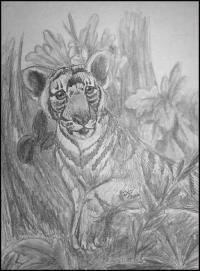 <img200*0:http://elftown.heddate.com/img/photo/61691_1155122411.jpg>