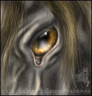 <img300*0:http://elftown.heddate.com/img/photo/61691_1167330245.jpg>