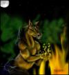<img100*0:http://elftown.heddate.com/img/photo/61691_1192311669.jpg>