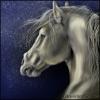 <img100*0:http://elftown.heddate.com/img/photo/61691_1192495472.jpg>