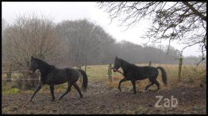 <img300*0:http://elftown.heddate.com/img/photo/61691_1198933589.jpg>