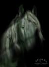 <img100*0:http://elftown.heddate.com/img/photo/61691_1205975603.jpg>