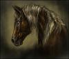 <img100*0:http://elftown.heddate.com/img/photo/61691_1214850371.jpg>
