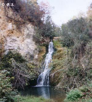 <img300*0:http://elftown.heddate.com/img/photo/63952_1129285541.jpg>