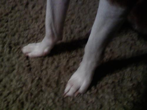 <img: http://elftown.heddate.com/img/photo/64936_1227923516.jpg>