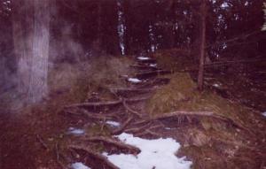 <img300*0:http://elftown.heddate.com/img/photo/66407_1109896798.jpg>