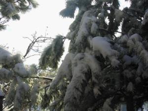 <img300*0:http://elftown.heddate.com/img/photo/66413_1109199709.jpg>