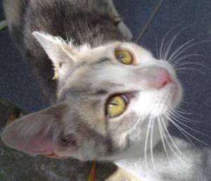 <img300*0:http://elftown.heddate.com/img/photo/67487_1094031931.jpg>