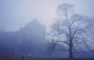 <img:http://elftown.heddate.com/img/photo/68101_1087429780.jpg?y=200>