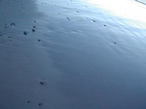<img300*0:http://elftown.heddate.com/img/photo/72236_1151327045.jpg>