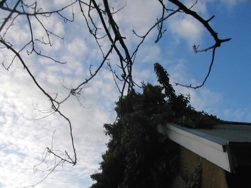 <img:http://elftown.heddate.com/img/photo/72236_1156149003.jpg>