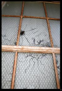 <img200*0:http://elftown.heddate.com/img/photo/73640_1248298631.jpg>