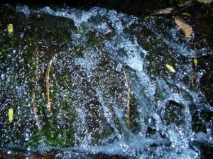 <img300*0:http://elftown.heddate.com/img/photo/75632_1129256363.jpg>
