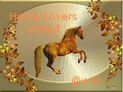 <img:http://elftown.heddate.com/img/photo/76487_1093478528.jpg>