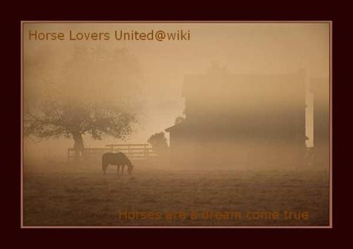 <img:http://elftown.heddate.com/img/photo/76487_1093478634.jpg>