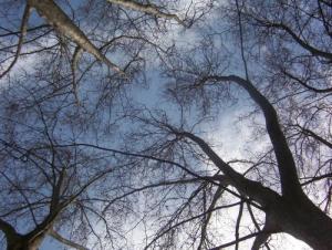 <img300*0:http://elftown.heddate.com/img/photo/82603_1111172605.jpg>