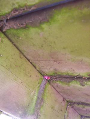 <img300*0:http://elftown.heddate.com/img/photo/82603_1111176035.jpg>