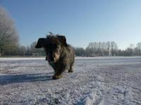 <img200*0:http://elftown.heddate.com/img/photo/83208_1232919122.jpg>