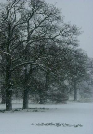 <img300*0:http://elftown.heddate.com/img/photo/8734_1110049902.jpg>