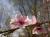 <img50*0:img/photo/88399_1175800071.jpg>