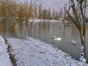 <img300*0:http://elftown.heddate.com/img/photo/90047_1109364459.jpg>