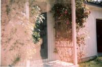 <img200*0:http://elftown.heddate.com/img/photo/9281_1147973330.jpg>