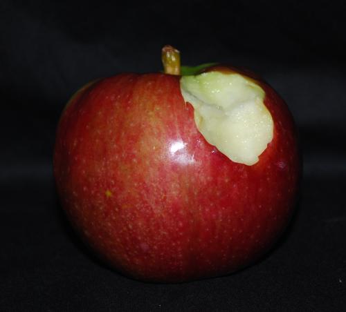 <img:http://elftown.heddate.com/img/photo/93740_1242264499.jpg>