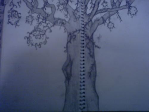 <img:http://elftown.heddate.com/img/photo/9401_1071386080.jpg>