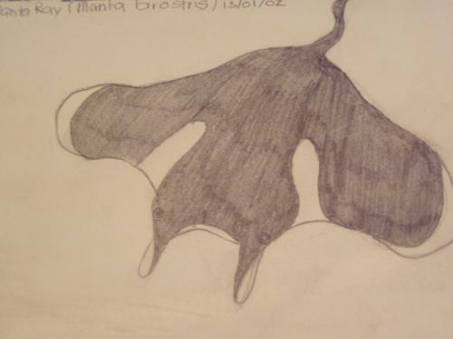 <img:http://elftown.heddate.com/img/photo/9401_1120973409.jpg>