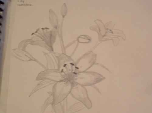 <img:http://elftown.heddate.com/img/photo/9401_1120979452.jpg>