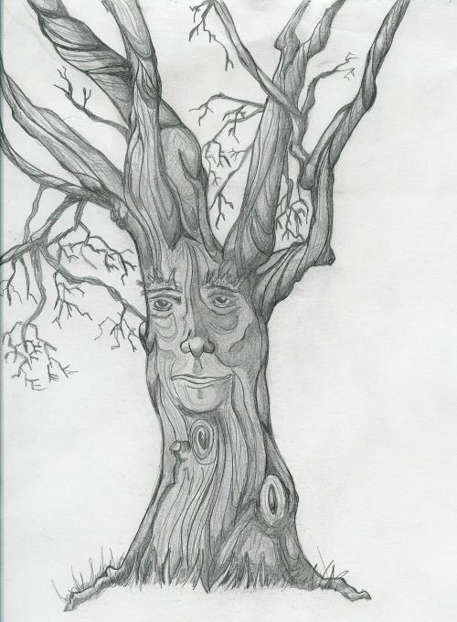 <img:http://elftown.heddate.com/img/photo/9683_1075525548.jpg>