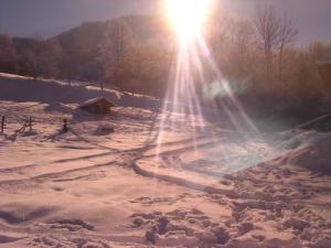 <img300*0:http://elftown.heddate.com/img/photo/99789_1110380166.jpg>