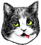 <img:stuff/%3a-P.png>