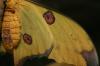 <img100*0:stuff/%5b..majo..%5d.jpg>