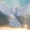 <img100*0:stuff/%5b.Grey.Fox.%5d.jpg>