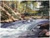 <img100*0:stuff/%5bThe_Girl_In_The_Tree%5d.jpg>