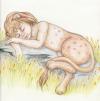 <img100*0:stuff/%5bThistlewood%5d.jpg>