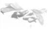 <img100*0:stuff/%5bWaiF%5d.jpg>