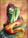 <img100*0:stuff/%5beimhin%5d.jpg>