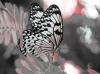 <img100*0:stuff/%5bxenocentric%5d.jpg>