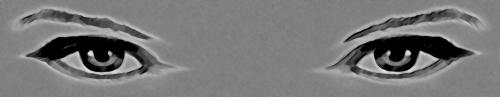 <img500*97:stuff/..ZX.jpg>